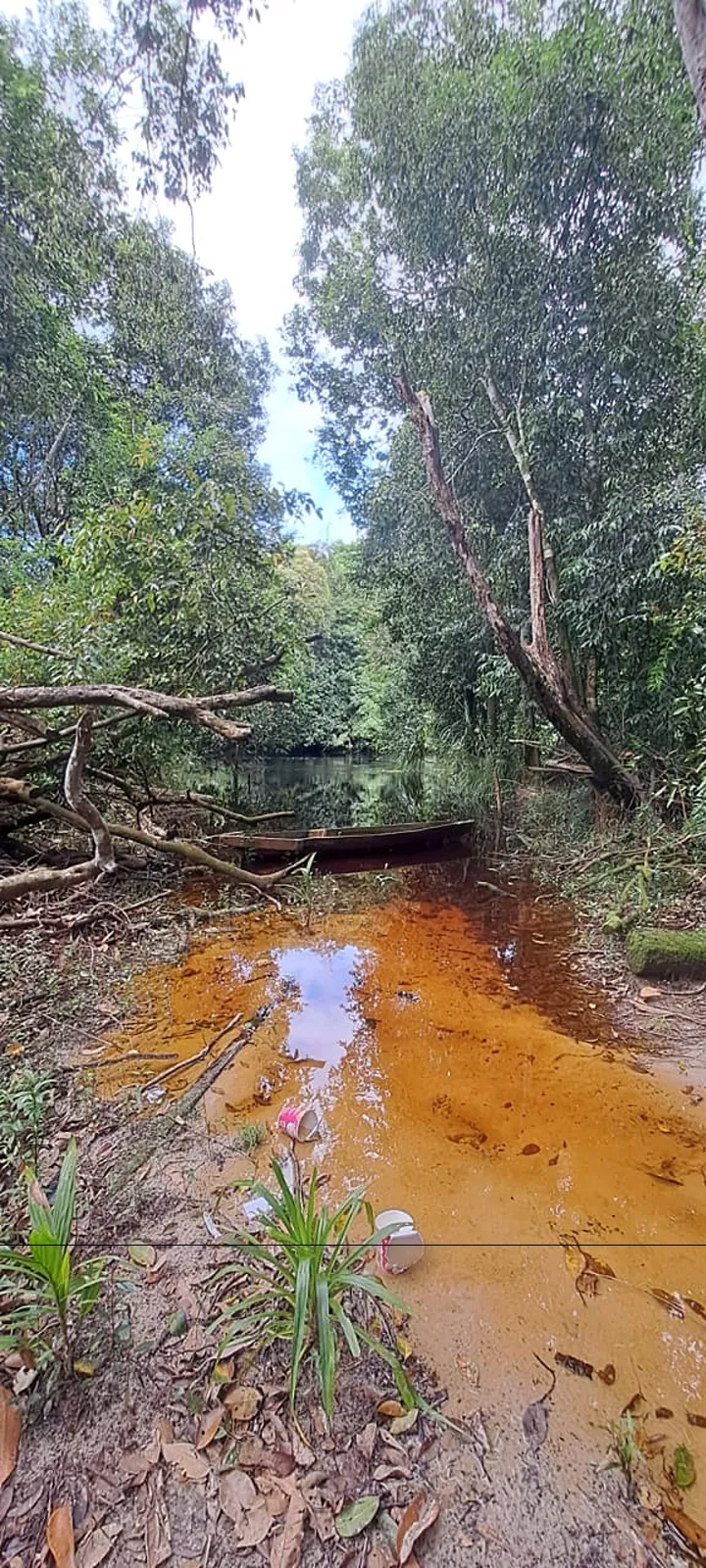 Murung Raya project area, Murung Raya, Central Kalimantan